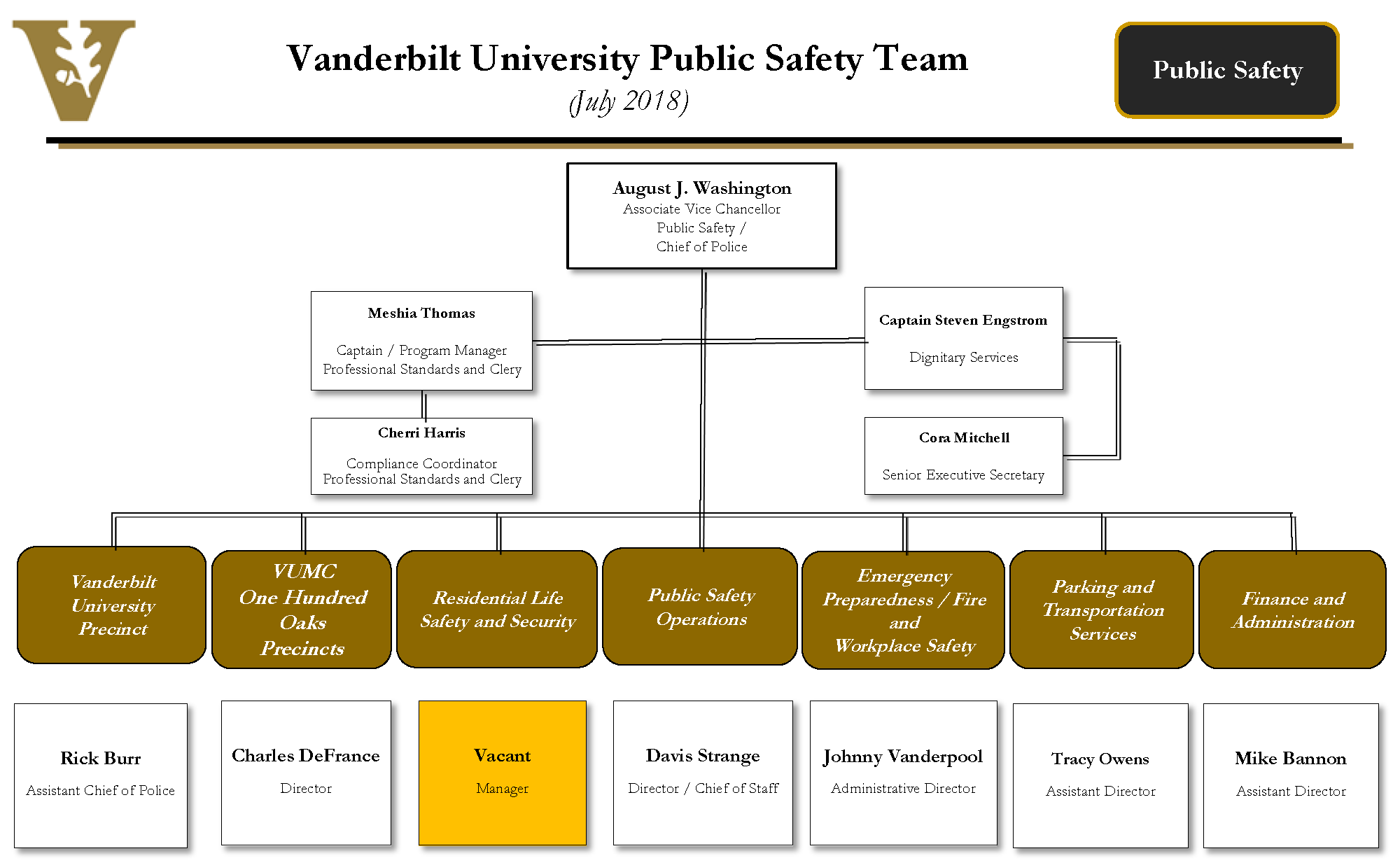 Vanderbilt Medical Center Org Chart